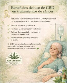 veces, durante una batalla contra el cáncer, lo más valioso no es solo el tratamiento… sino también el bienestar y el acompañamiento en el proceso. 💚

Cada día puede traer retos físicos y emocionales, y muchas personas buscan alternativas naturales que les ayuden a sentirse mejor mientras atraviesan su tratamiento.

El CBD ha sido estudiado como un apoyo complementario que puede ayudar a:

✨ Disminuir náuseas y vómitos
✨ Reducir dolor e inflamación
✨ Calmar la ansiedad y el estrés
✨ Mejorar el descanso y estimular el apetito

No se trata solo de tratar síntomas, sino de mejorar la calidad de vida durante un proceso tan importante.

Si tú, un familiar o un amigo están pasando por este camino, no tienen que hacerlo solos.
Podemos orientarte de forma gratuita y confidencial para resolver tus dudas.

📲 WhatsApp: 222 359 8905

📱 Síguenos en nuestras redes:
Instagram: @yourcbdstore.puebla
Facebook: Your CBD Store Puebla

🍃 Your CBD Store
Bienestar natural para acompañarte en cada etapa.

#CBD #CBDMéxico #BienestarNatural #SaludNatural #CBDPuebla #MedicinaComplementaria #ApoyoNatural #CalidadDeVida #CBDWellness #YourCBDStore