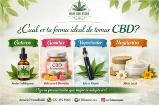 🌿✨ ¿Cuál es tu forma ideal de tomar CBD? ✨🌿

Cada persona es diferente… y por eso el CBD también se adapta a ti 💚

No se trata solo de usar CBD, sino de elegir la presentación que mejor se ajuste a tu estilo de vida y necesidades 👇

💧 Goteros (aceites):
Precisión en dosis y efecto más completo. Ideal para ansiedad, sueño o bienestar general.

🍬 Gomitas:
Prácticas, deliciosas y discretas. Perfectas para el día a día.

💨 Vaporizador:
Efecto rápido. Recomendado para quienes buscan alivio casi inmediato.

💪 Ungüentos:
Aplicación directa para dolor muscular o articular.

💊 Cápsulas:
Fáciles de tomar y con dosis exacta.

✨ No todos los cuerpos reaccionan igual, por eso en Your CBD Store te ayudamos a encontrar la mejor opción para ti.

💚 Asesoría personalizada según tus objetivos y estilo de vida.

📲 Escríbenos por WhatsApp:
222 359 8905

📍 Disponible en tienda y envíos
🌐 CBDstore.mx

Síguenos:
@cbdstoremx
@claritypuregreen
/YourCBDstore

🌿 #CBDMéxico #BienestarNatural #CBDLife #AceiteCBD #CBDGummies #SaludNatural #YourCBDStore #CBDParaTi